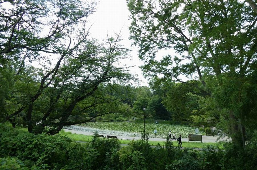 せせらぎ公園写真